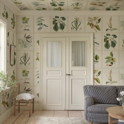 Fototapet lavabil, Flora, Green, Sandberg