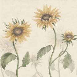 Fototapet lavabil, Sunflowers, Yellow, Sandberg - Img 2