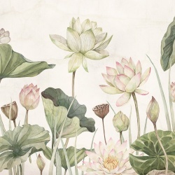 Fototapet Lovely Water Lillies, Sir Edward - Img 2