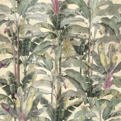 Fototapet Musa verticalia, VLAdiLA - Img 2