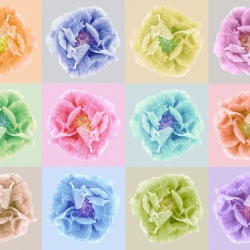 Fototapet, Poppy Art, Andy, Rebel Walls - Img 2
