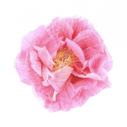 Fototapet, Poppy Art, Rebel Walls - Img 5