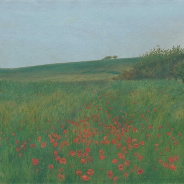 Fototapet, Poppy Landscape, Summer, Rebel Walls - Img 2