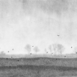 Fototapet, Scandinavian Landscape, Black & White, Rebel Walls - Img 2