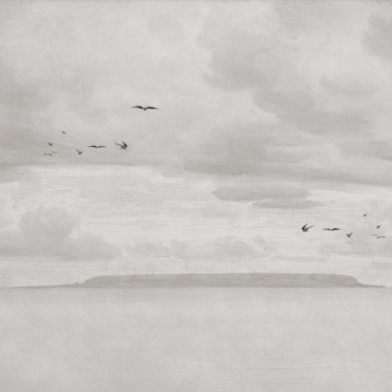 Fototapet, Seabirds, Beige, Rebel Walls - Img 2