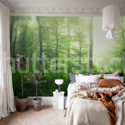 Fototapet, Serene Forest, Green, Rebel Walls