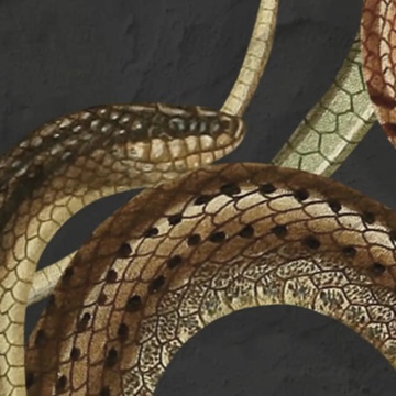 Fototapet, Snakey, Black, Rebel Walls - Img 4
