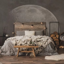Fototapet Soft side of the moon, VLAdiLA