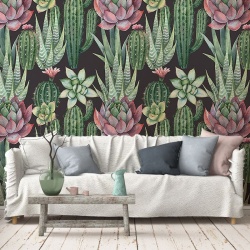 Fototapet Succulents, VLAdiLA - Img 3