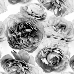 Fototapet, Summer Wind, Black and White, Rebel Walls - Img 6