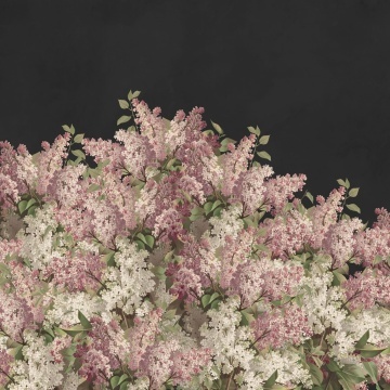 Fototapet, Syringa Flowers, Black, Rebel Walls - Img 2