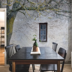 Fototapet, Under The Tree, Rebel Walls