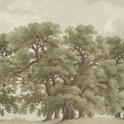Fototapet, Vintage Oaks, Vintage, Rebel Walls - Img 2
