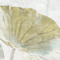 Fototapet, Waterlily, Rebel Walls - Img 8
