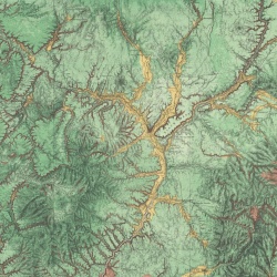 Fototapet, Woodland, Rebel Walls - Img 2