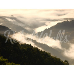 Tapet Mountain View, Rebel Walls - Img 2