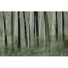 Tapet Painted Trees, Rebel Walls - Img 2
