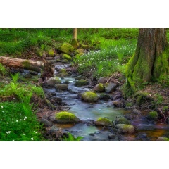 Tapet Stream, Rebel Walls - Img 2