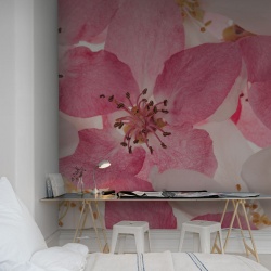 Fototapet, Apple Blossom, Rebel Walls