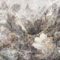 Fototapet Artistic Marcin Runowiecki R-Design Nanufar Rêve MRN100