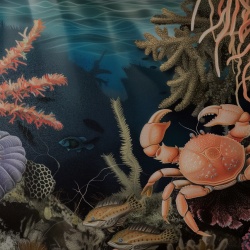 Fototapet Artistic Profond Crabe Rêve PC120