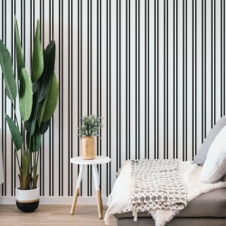 Fototapet Black and White Stripes, VLAdiLA