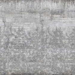 Fototapet, Climbing Clorofyl, Shadow, Rebel Walls - Img 2