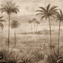 Fototapet, Draa Palms, Bone, Coordonne - Img 2