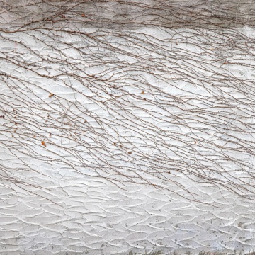 Fototapet, Fade Away, Rebel Walls - Img 2