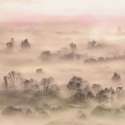 Fototapet Foggy Landscape Peach, VLAdiLA - Img 2