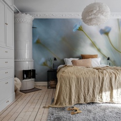 Fototapet, Forget Me Not, Rebel Walls