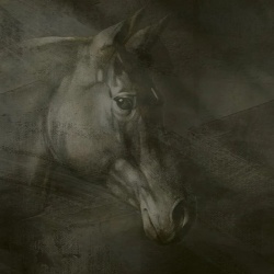 Fototapet Friesian Charm - personalizat, VLAdiLA - Img 2