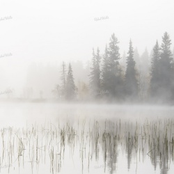 Fototapet, Frosty Lake, Rebel Walls - Img 2