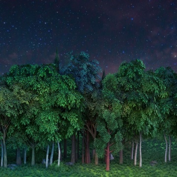 Fototapet, Gaming Woods, Night, Rebel Walls - Img 2