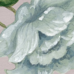 Fototapet, Grandiflora, Soft Pink, Rebel Walls - Img 4