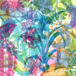 Fototapet, Jelly Belly Plants, Rebel Walls - Img 2