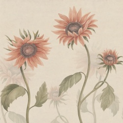 Fototapet lavabil, Sunflowers, Peach, Sandberg - Img 2
