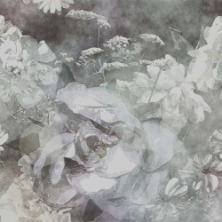 Fototapet Mild Bloom, VLAdiLA - Img 2
