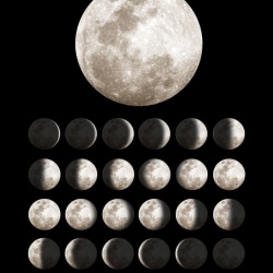 Fototapet, Moon, Rebel Walls - Img 4