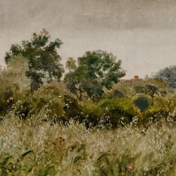 Fototapet, Oatfields, Summer, Rebel Walls - Img 2