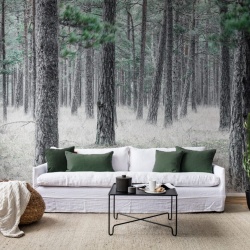 Fototapet, Pine Forest, Rebel Walls