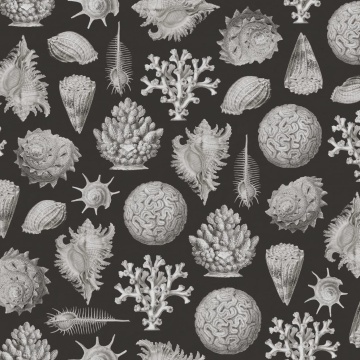 Fototapet, Seashells, Graphite, Rebel Walls - Img 2
