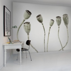 Fototapet, Simple Seedpod, Rebel Walls - Img 3