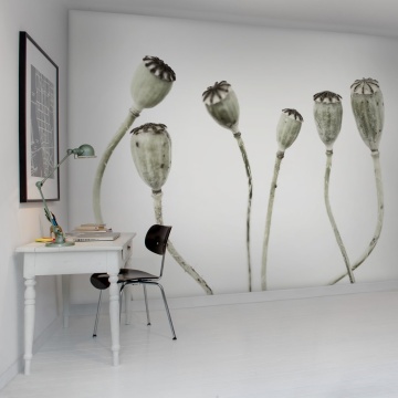 Fototapet, Simple Seedpod, Rebel Walls - Img 3