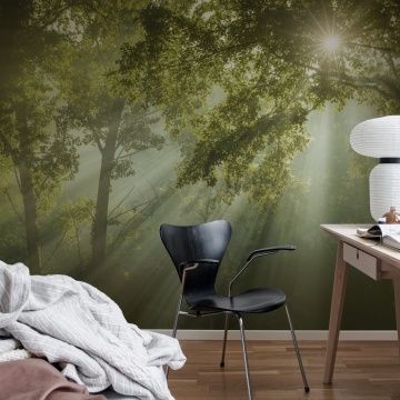 Fototapet, Sun Rays, Rebel Walls - Img 3
