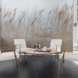 Fototapet, Swaying Reed, Rebel Walls - Img 8