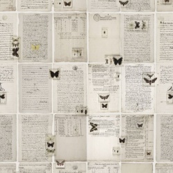 Fototapet, The Butterfly Library, Rebel Walls - Img 5