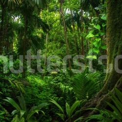 Fototapet, Tropical Landscape, Green, Rebel Walls - Img 2