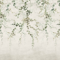 Fototapet Vine Shadow, Green, Coordonne - Img 2