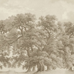 Fototapet, Vintage Oaks, Beige, Rebel Walls - Img 2